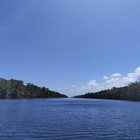 Hospedaje Meryscar Tortuguero Exteriér fotografie
