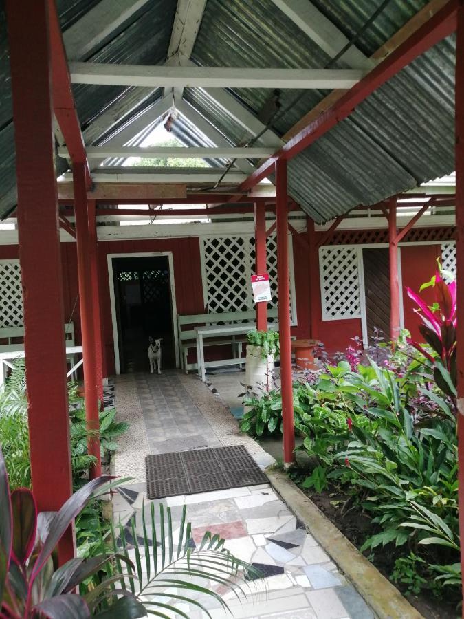 Hospedaje Meryscar Tortuguero Exteriér fotografie