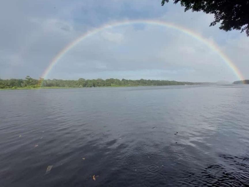 Hospedaje Meryscar Tortuguero Exteriér fotografie