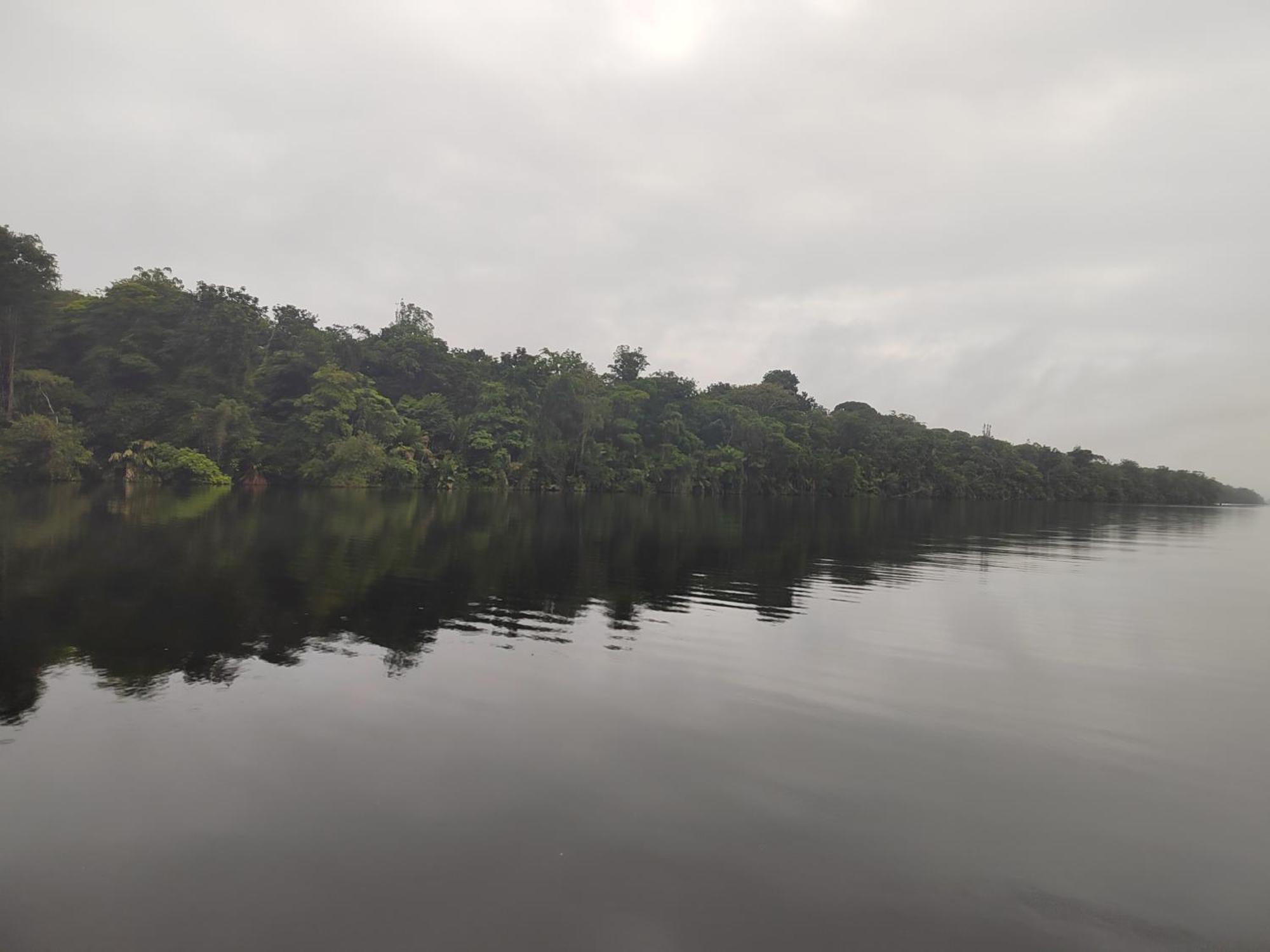 Hospedaje Meryscar Tortuguero Exteriér fotografie