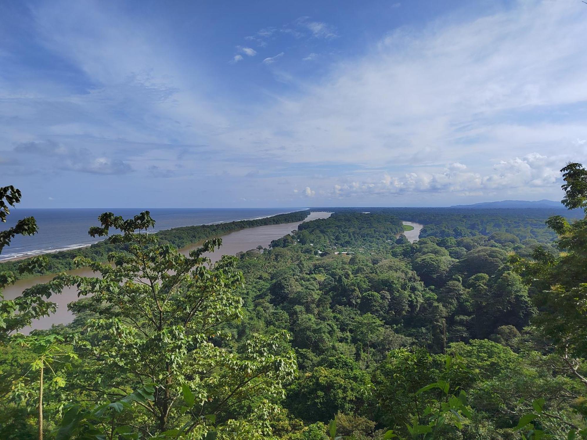 Hospedaje Meryscar Tortuguero Exteriér fotografie