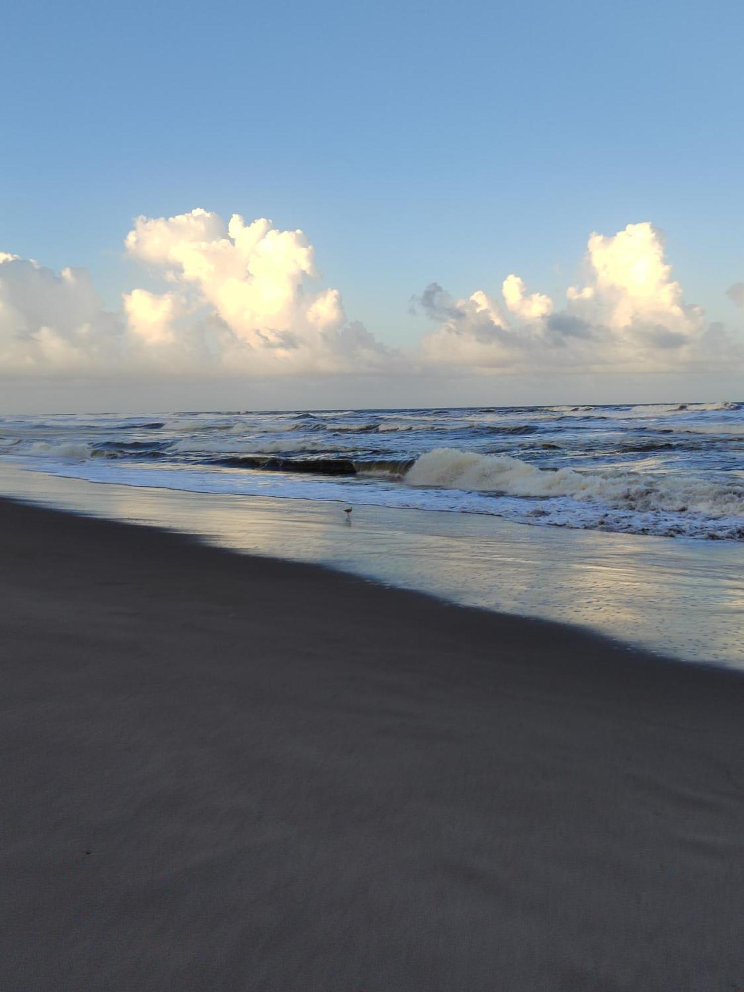 Hospedaje Meryscar Tortuguero Exteriér fotografie