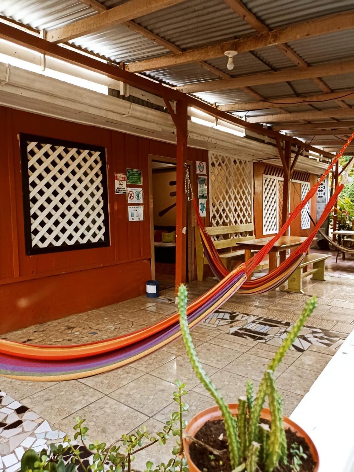 Hospedaje Meryscar Tortuguero Exteriér fotografie