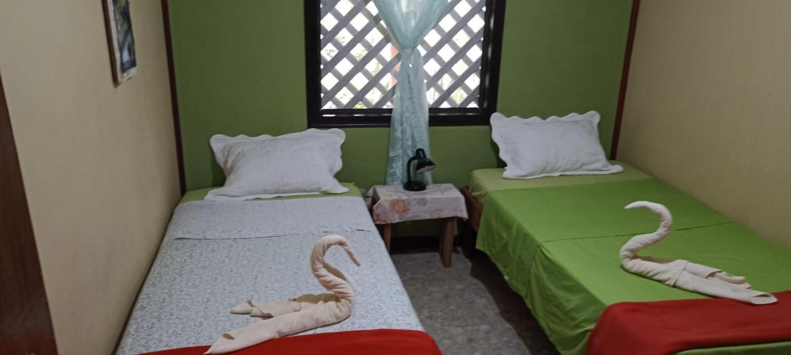 Hospedaje Meryscar Tortuguero Exteriér fotografie