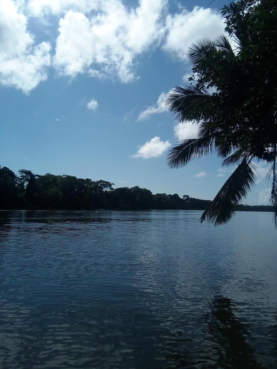Hospedaje Meryscar Tortuguero Exteriér fotografie