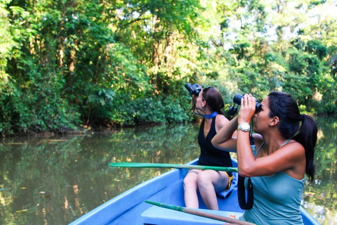 Hospedaje Meryscar Tortuguero Exteriér fotografie